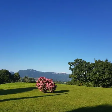 Couette-café Château Beyrin Traize