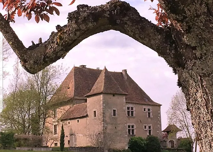 Couette-café Château Beyrin Traize