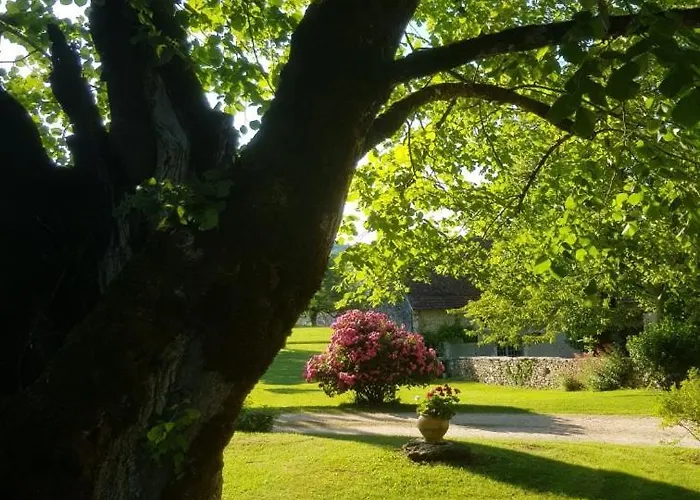 Château Beyrin Traize